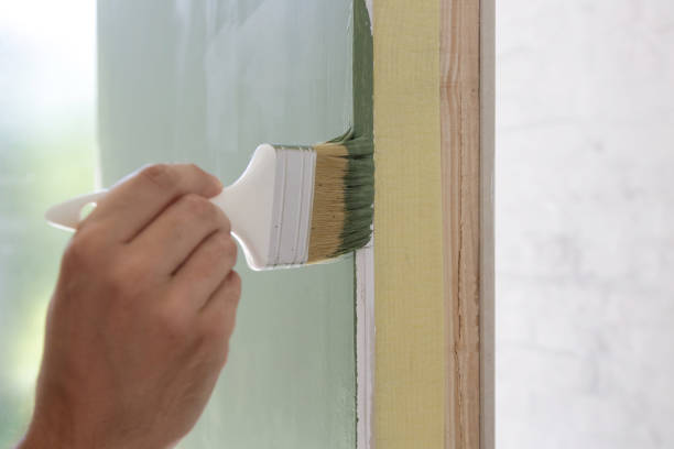 Professional Mold Removal in Obion, TN