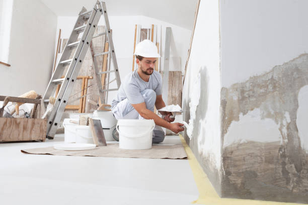 Best Comprehensive Air Testing for Mold Contaminants  in Obion, TN